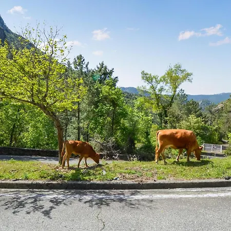 2 Bedroom Gorgeous In Di Nazza *